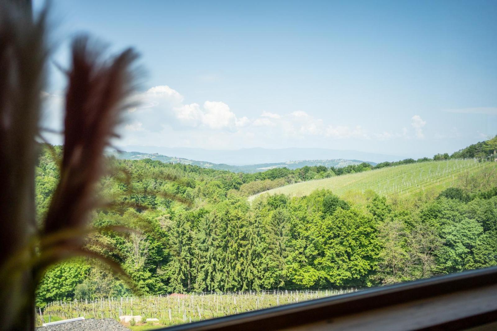 Steirerblicke - Am Winzerkogel Apartment Leibnitz Luaran gambar